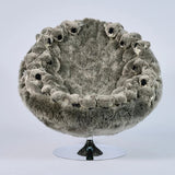 Koala Lounge Chair by AP Collection - Bauhaus 2 Your House