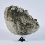 Koala Lounge Chair by AP Collection - Bauhaus 2 Your House