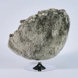 Koala Lounge Chair by AP Collection - Bauhaus 2 Your House