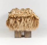 Leo Dark Wood Bench by AP Collection - Bauhaus 2 Your House