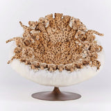 Leo Lounge Chair by AP Collection - Bauhaus 2 Your House