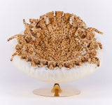 Leo Lounge Chair by AP Collection - Bauhaus 2 Your House