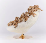 Leo Lounge Chair by AP Collection - Bauhaus 2 Your House