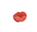 Lipstick Mirror by Opinion Ciatti - Bauhaus 2 Your House