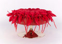 Lobster Pouf by AP Collection - Bauhaus 2 Your House