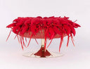 Lobster Pouf by AP Collection - Bauhaus 2 Your House