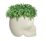 Mexico Planter and Champagne Cooler by Qeeboo - Bauhaus 2 Your House