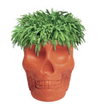 Mexico Planter and Champagne Cooler by Qeeboo - Bauhaus 2 Your House