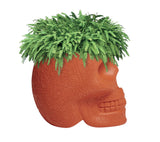 Mexico Planter and Champagne Cooler by Qeeboo - Bauhaus 2 Your House