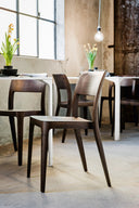 Midj Nene S L dark-stained wood stacking dining side chairs in a bright cafe interior