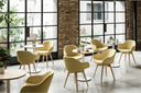 Midj Sonny PB L TS upholstered armchairs with wooden legs in a sunlit seating area