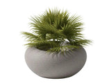 Nami Planter by Qeeboo - Bauhaus 2 Your House