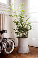 Nuclear Plant 460 Planter by Lyon Beton - Bauhaus 2 Your House
