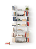 Pacifico Bookcase by Opinion Ciatti - Bauhaus 2 Your House