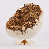 Pan-Pan Lounge Chair by AP Collection - Bauhaus 2 Your House