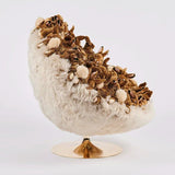 Pan-Pan Lounge Chair by AP Collection - Bauhaus 2 Your House