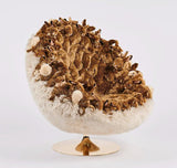 Pan-Pan Lounge Chair by AP Collection - Bauhaus 2 Your House