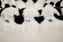 Panda Lounge Chair by AP Collection - Bauhaus 2 Your House