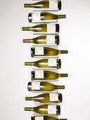Ptolomeo® Vino Wall by Bruno Rainaldo - Bauhaus 2 Your House