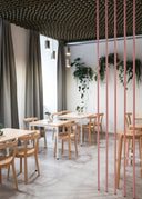 Punton Bentwood Chair by Ton - Bauhaus 2 Your House