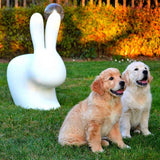Rabbit Chair by Qeeboo - Bauhaus 2 Your House
