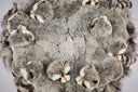 Raccoon Pouf by AP Collection - Bauhaus 2 Your House