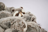 Raccoon Pouf by AP Collection - Bauhaus 2 Your House