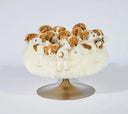 Saint Bernard Pouf by AP Collection - Bauhaus 2 Your House