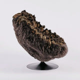 Sanglier (Wild Boar) Lounge Chair by AP Collection - Bauhaus 2 Your House