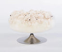 Sleeping Bear Pouf by AP Collection - Bauhaus 2 Your House