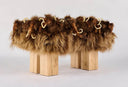 Small Mammoth Wood Bench by AP Collection - Bauhaus 2 Your House