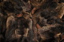 The Beast Pouf by AP Collection - Bauhaus 2 Your House