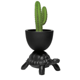 Turtle Carry Planter and Champagne Cooler by Qeeboo - Bauhaus 2 Your House