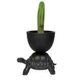 Turtle Carry Planter and Champagne Cooler by Qeeboo - Bauhaus 2 Your House