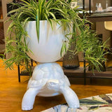Turtle Carry Planter and Champagne Cooler by Qeeboo - Bauhaus 2 Your House