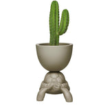 Turtle Carry Planter and Champagne Cooler by Qeeboo - Bauhaus 2 Your House