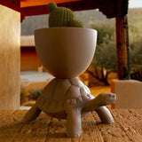 Turtle Carry Planter and Champagne Cooler by Qeeboo - Bauhaus 2 Your House