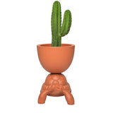 Turtle Carry Planter and Champagne Cooler by Qeeboo - Bauhaus 2 Your House