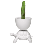 Turtle Carry Planter and Champagne Cooler by Qeeboo - Bauhaus 2 Your House