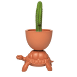 Turtle Carry Planter and Champagne Cooler by Qeeboo - Bauhaus 2 Your House