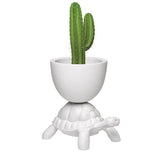 Turtle Carry Planter and Champagne Cooler by Qeeboo - Bauhaus 2 Your House