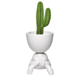 Turtle Carry Planter and Champagne Cooler by Qeeboo - Bauhaus 2 Your House