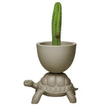 Turtle Carry Planter and Champagne Cooler by Qeeboo - Bauhaus 2 Your House