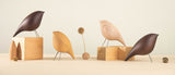 Tweety Decorative Bird by Noom - Bauhaus 2 Your House