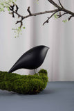Tweety Decorative Bird by Noom - Bauhaus 2 Your House