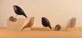 Tweety Decorative Bird by Noom - Bauhaus 2 Your House