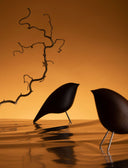 Tweety Decorative Bird by Noom - Bauhaus 2 Your House