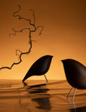 Tweety Decorative Bird by Noom - Bauhaus 2 Your House