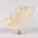 White Love Lounge Chair by AP Collection - Bauhaus 2 Your House