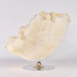 White Love Lounge Chair by AP Collection - Bauhaus 2 Your House